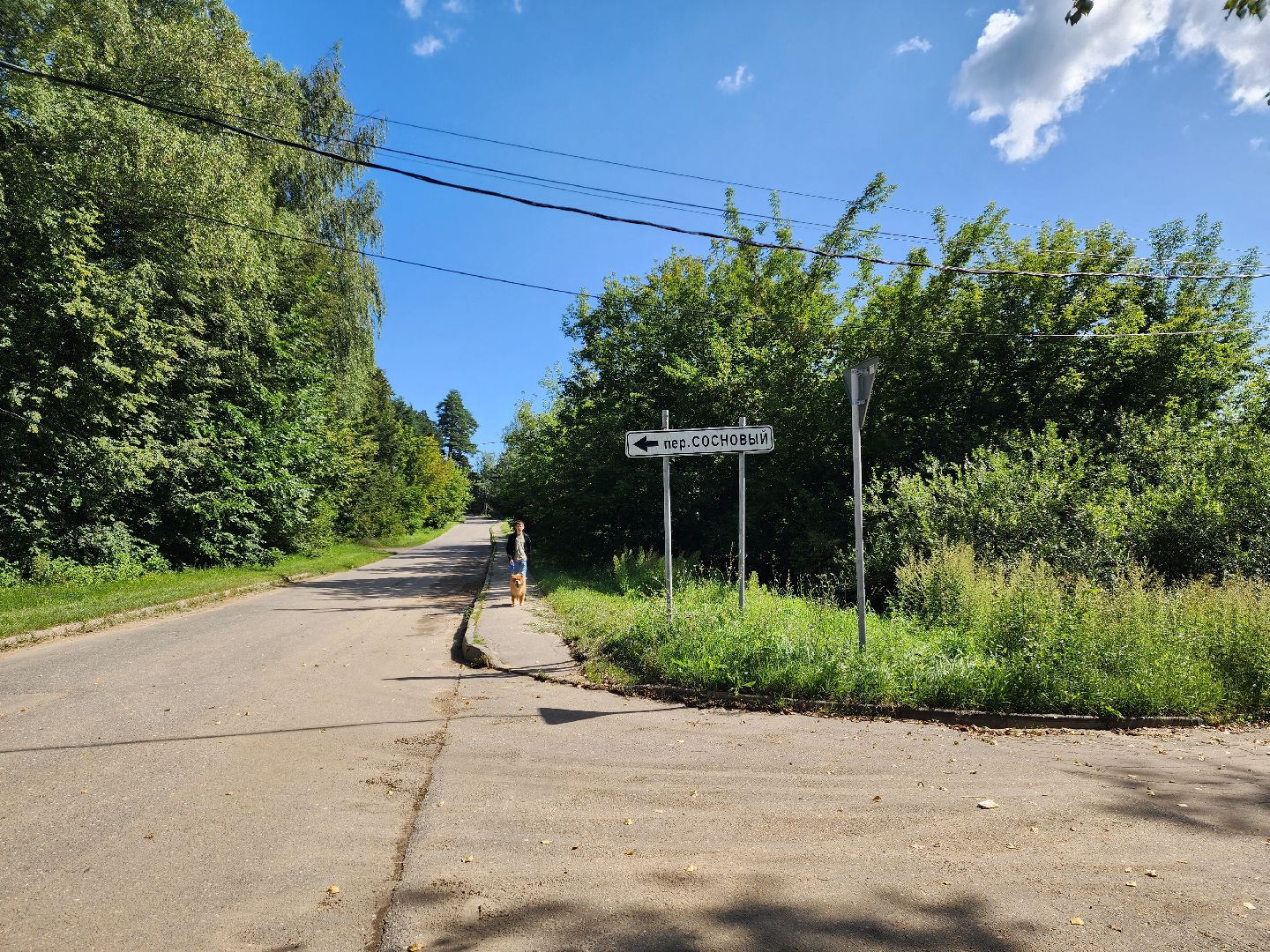 красноармейск, городской округ пушкинский, выездная администрация, ремонт дороги,