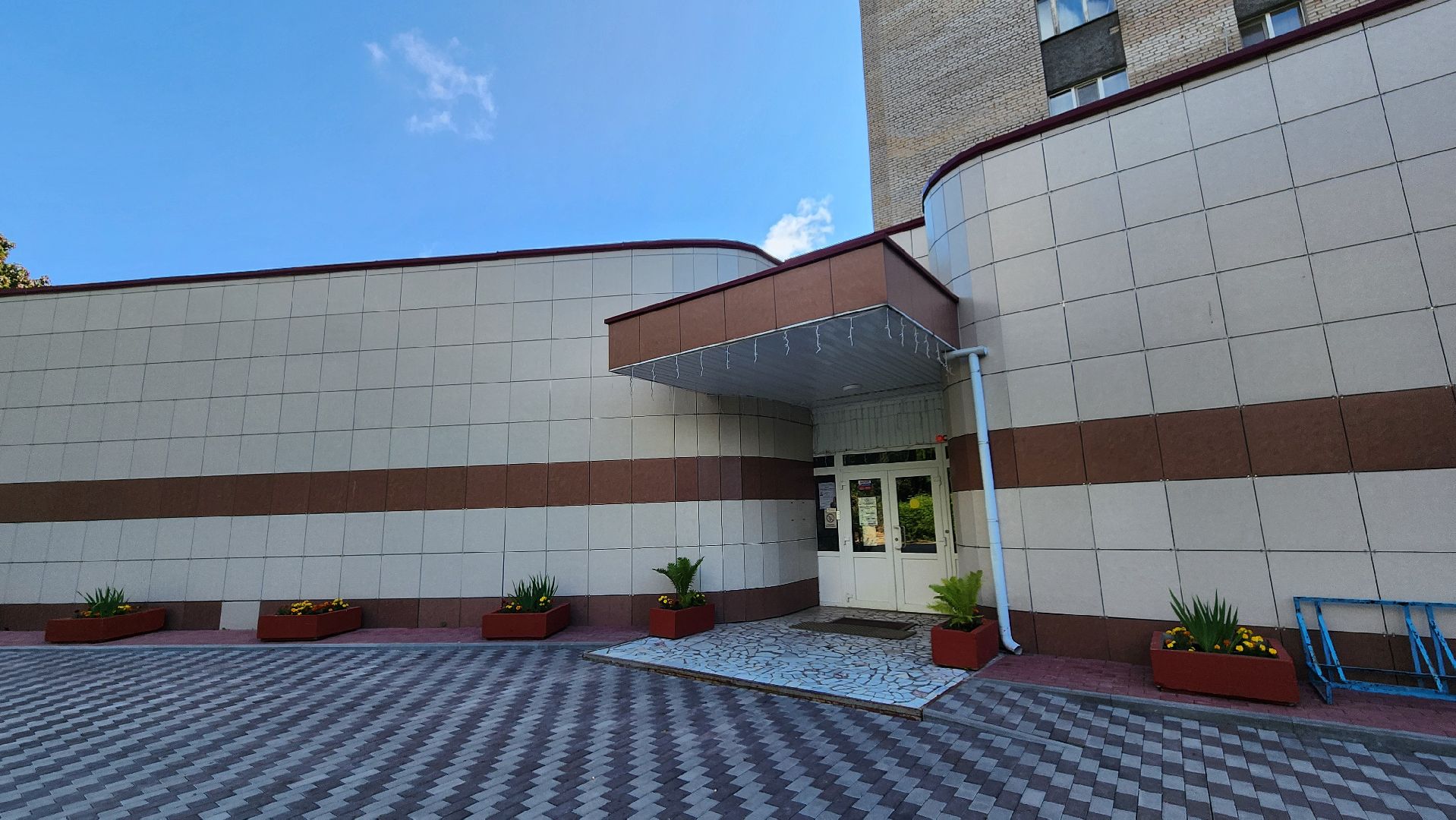 чебурашка на сво, символ победы, протвино,