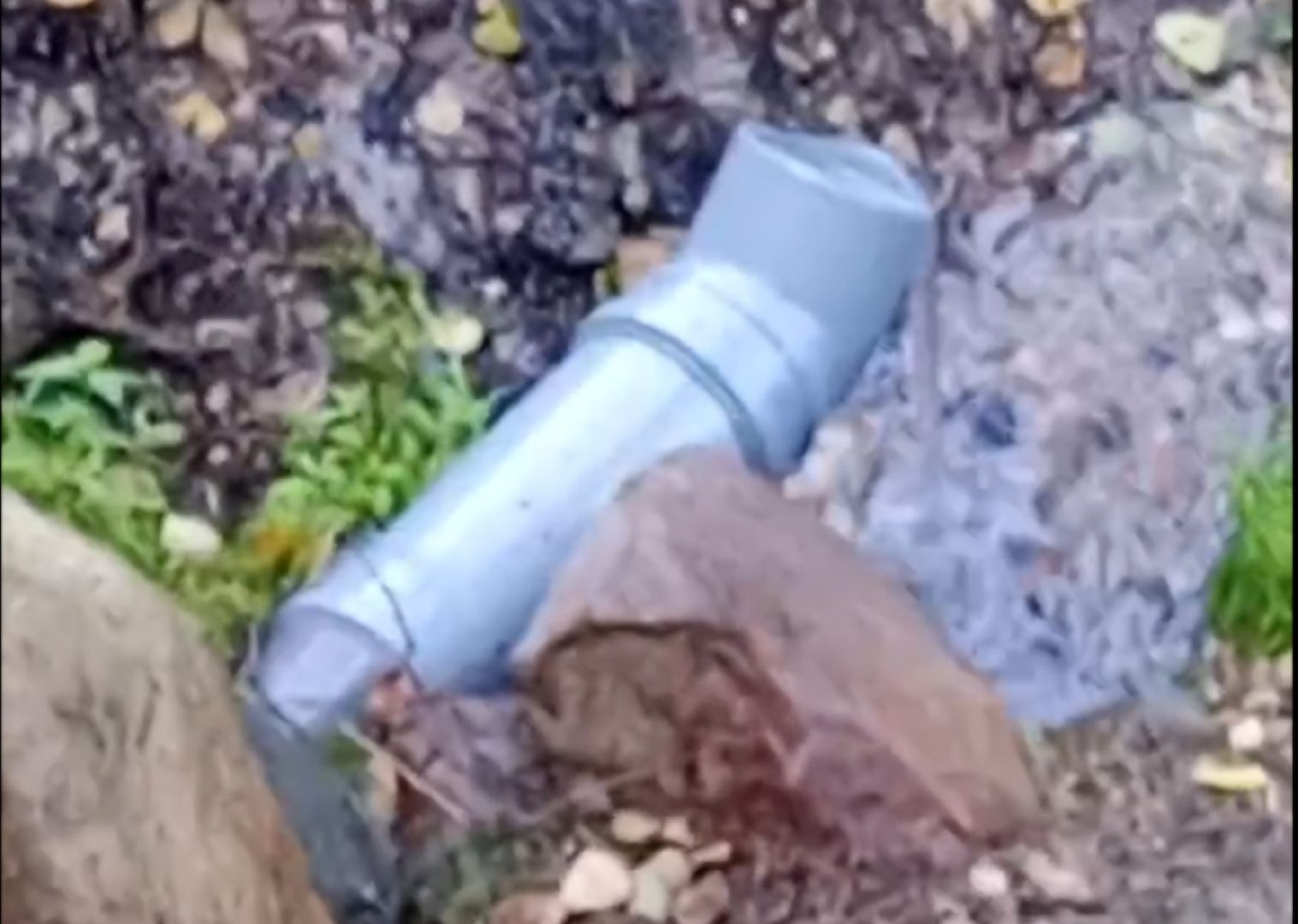 красноармейск, городской округ пушкинский, выездная администрация, родник,