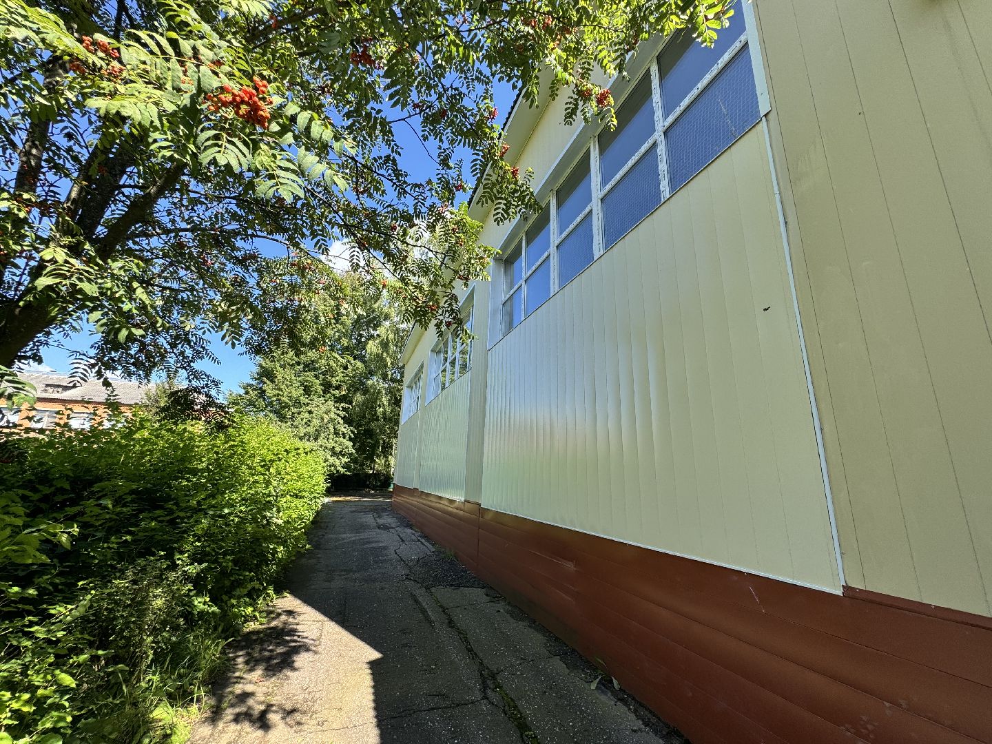 шаховская, подготовка гимназии к новому учебному году, подготовка к 1 сентября,