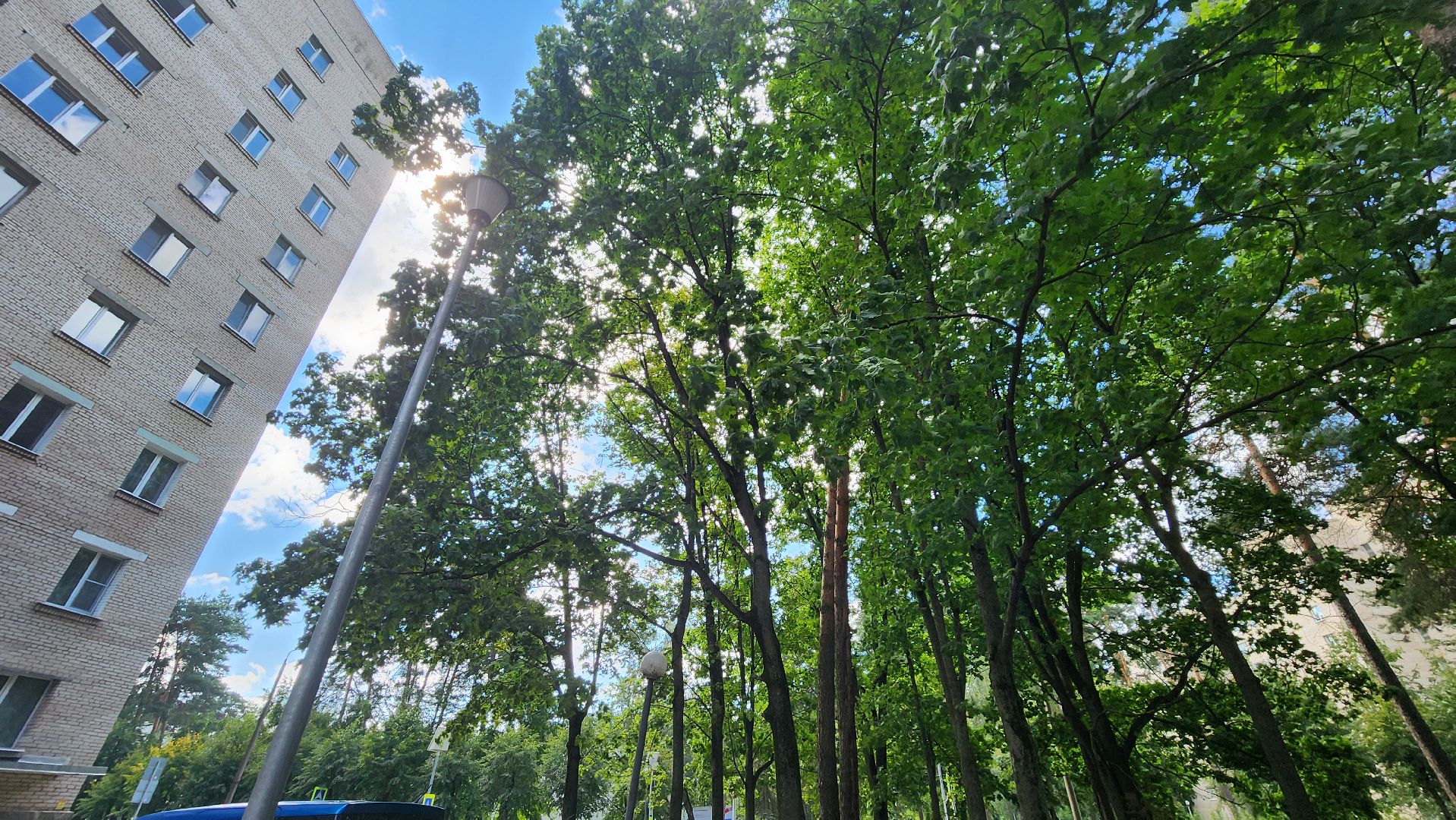 протвино, старшая по дому, благоустройство,