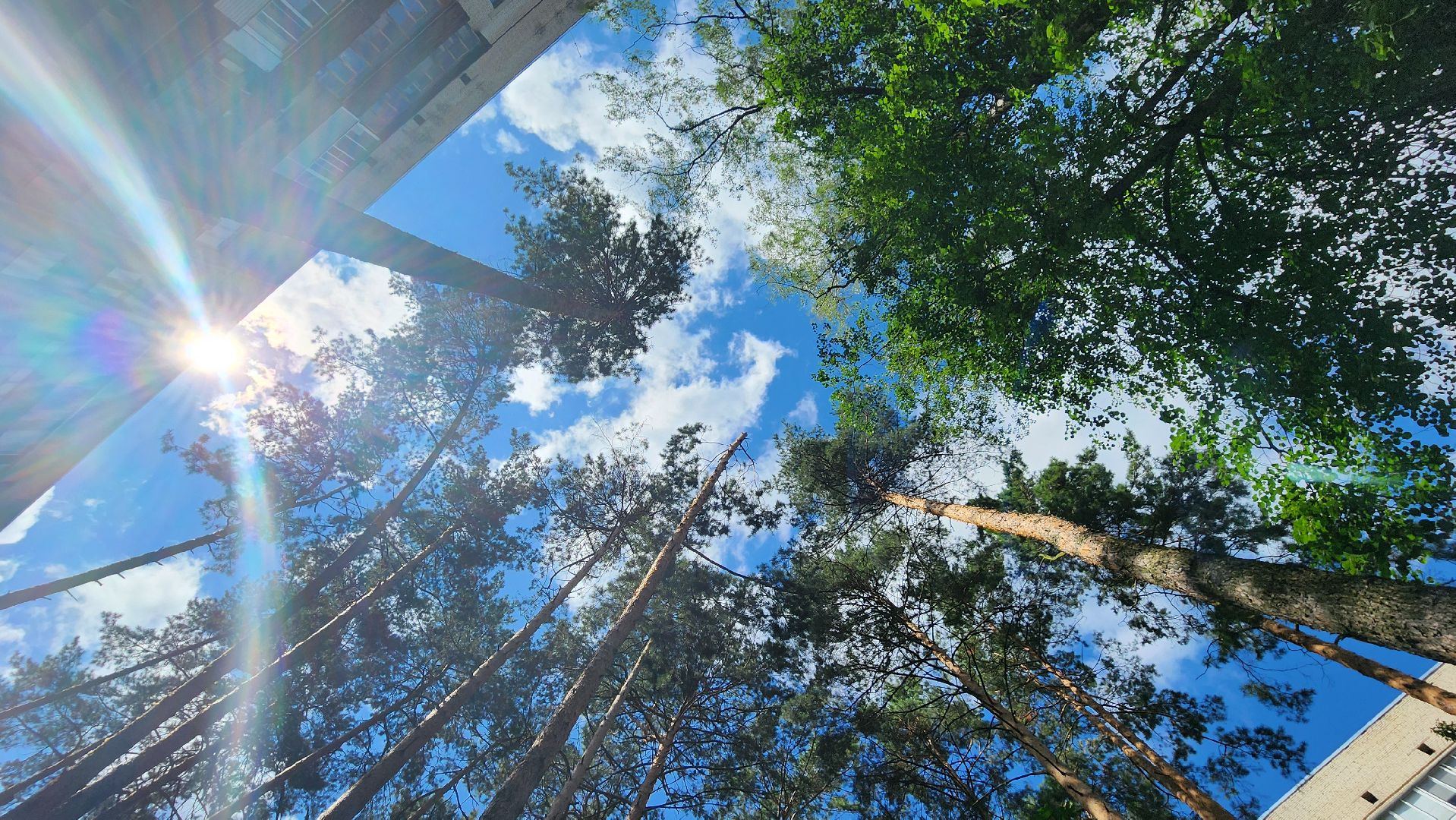 протвино, старшая по дому, благоустройство,