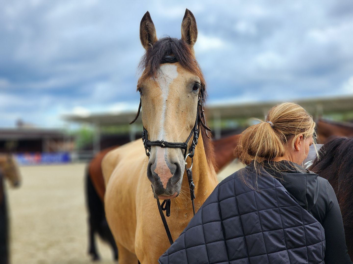 Черноголовка, Иваново поле, Конкур,