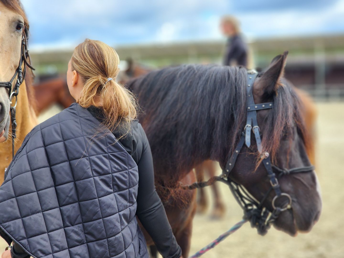 Черноголовка, Иваново поле, Конкур,