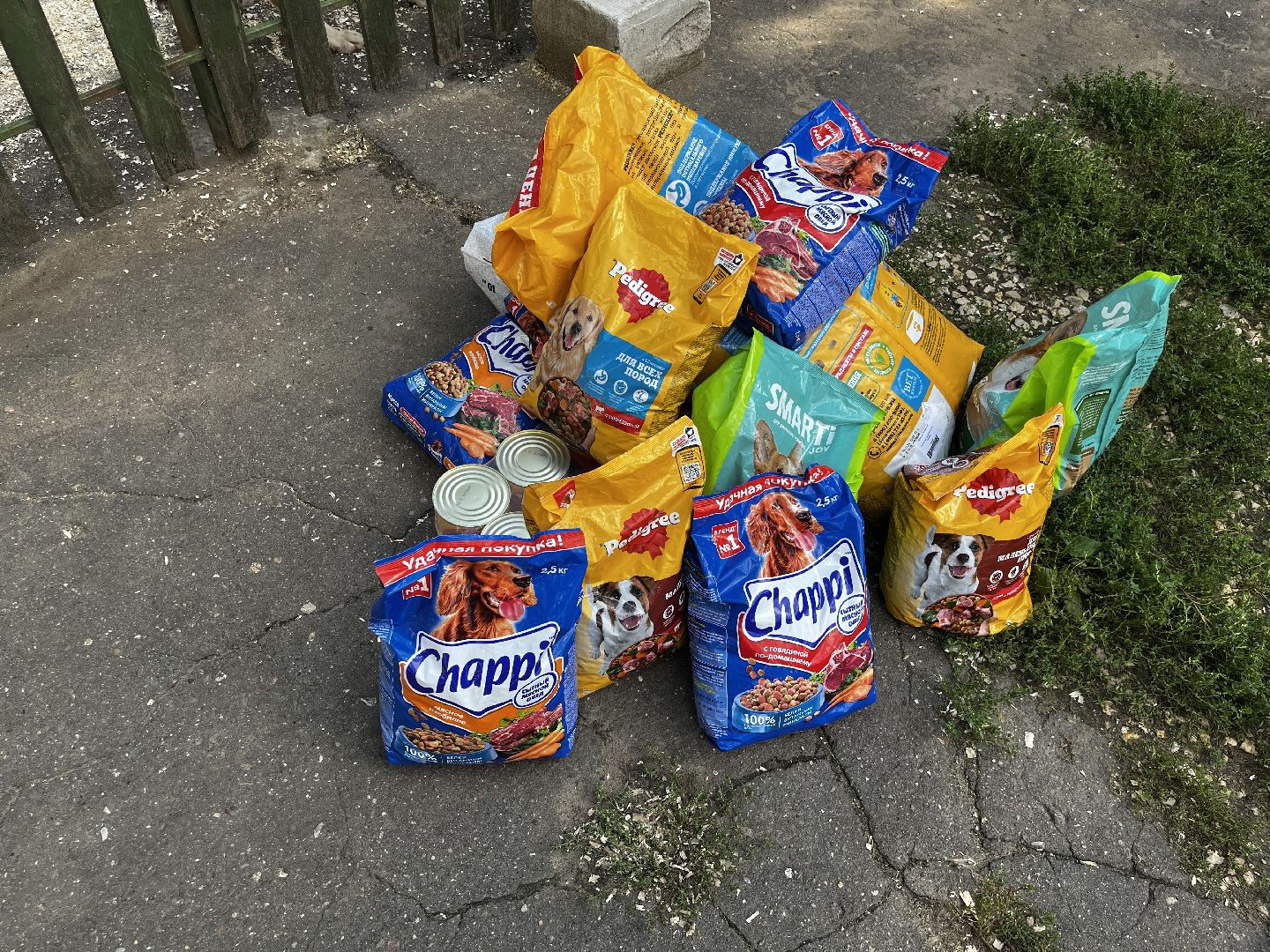 воскресенск, приют для бездомных животных,  волонтерская помощь,