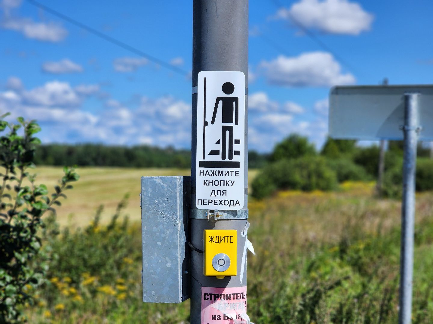 сергиев посад, сергиево-посадский городской округ, машино, светофор, безопасный переход,машино-дубки,