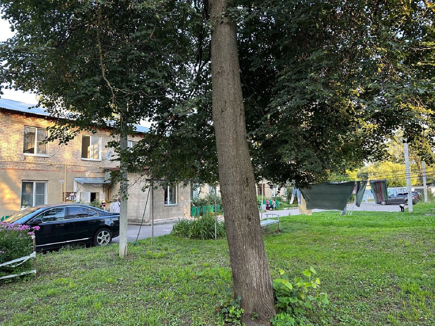 выездная администрация, домодедово,