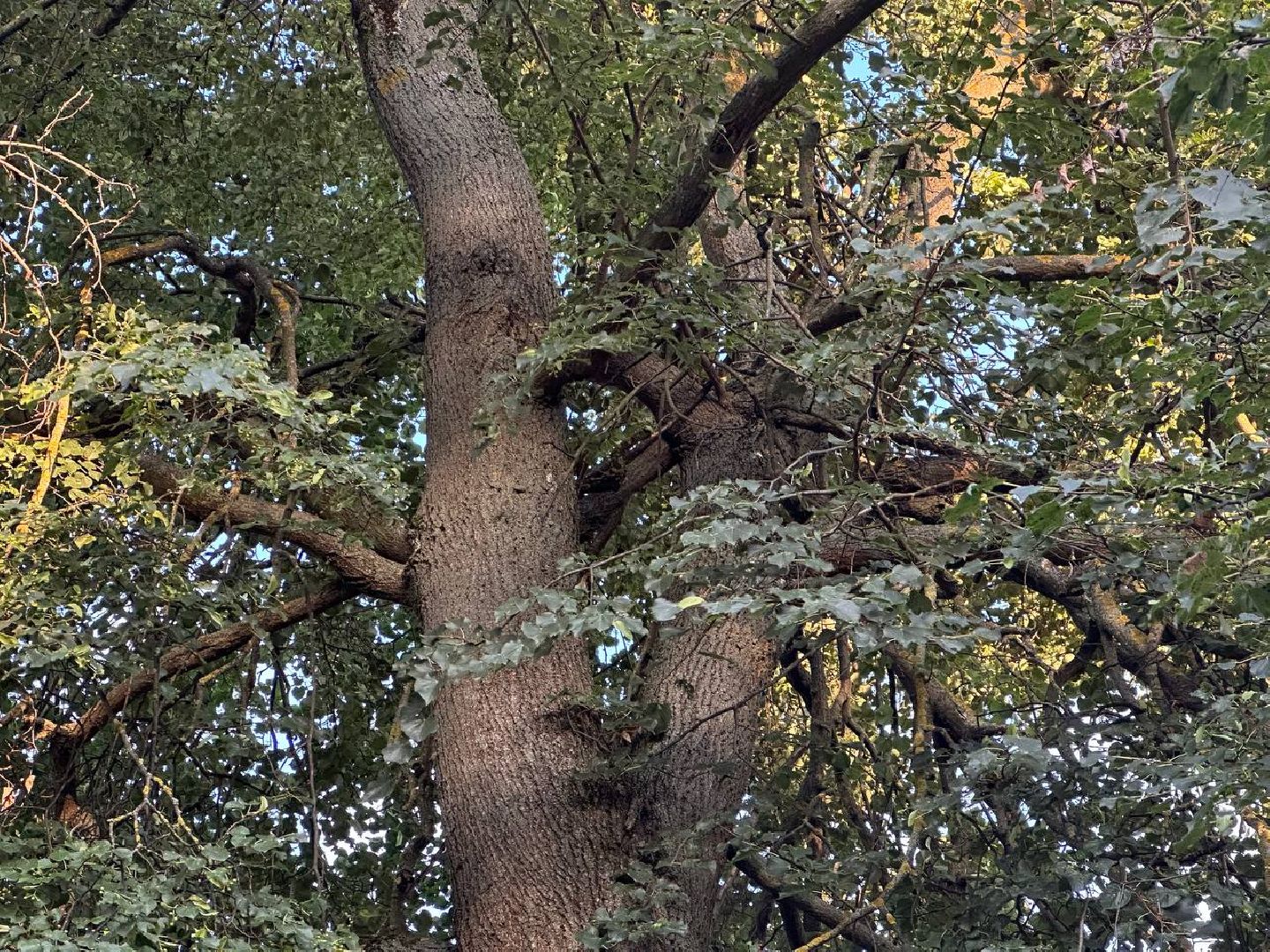 выездная администрация, домодедово,