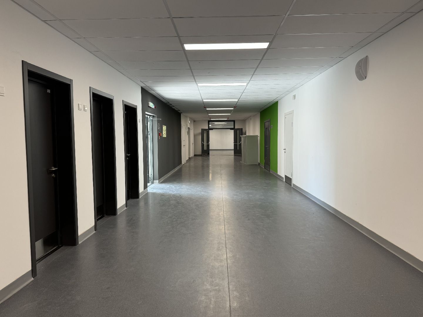 открытие школы , ленинский городской округ, жк пригород лесное, школьники, 1 сентября,