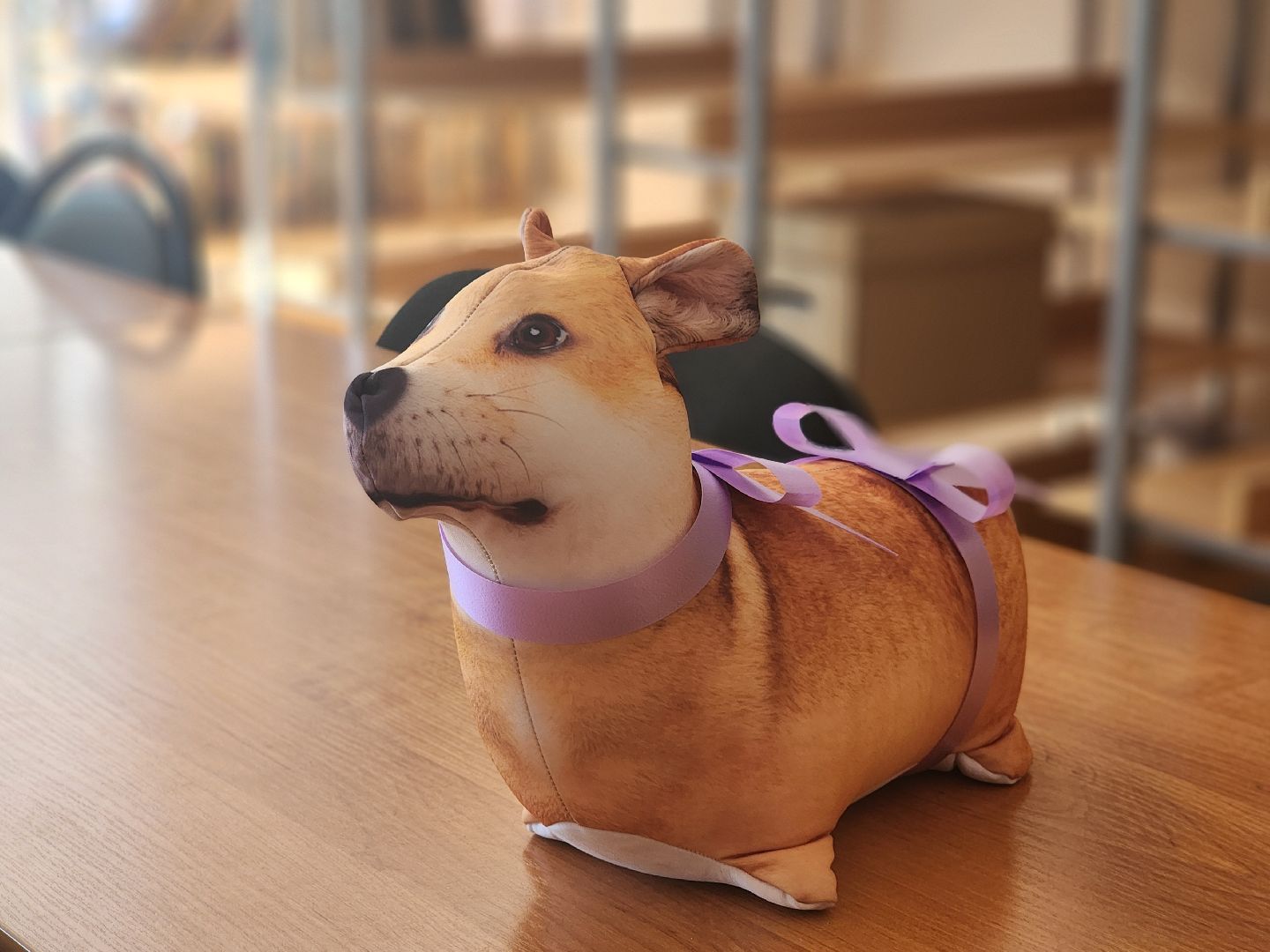 дубна, университет дубна, лингвистика, магистры русского языка,