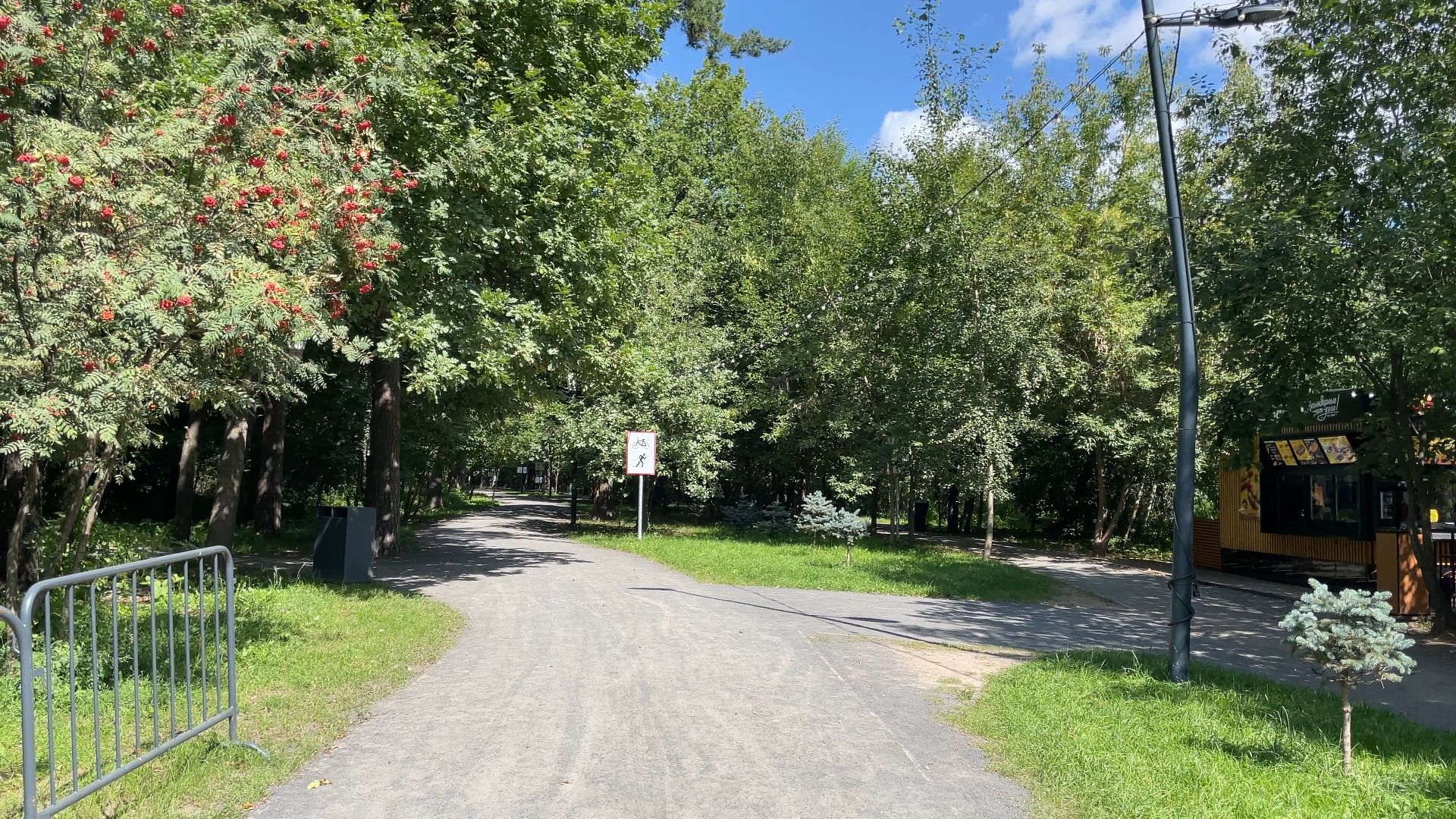 вакцинация животных от бешенства в Балашихе, Балашиха,