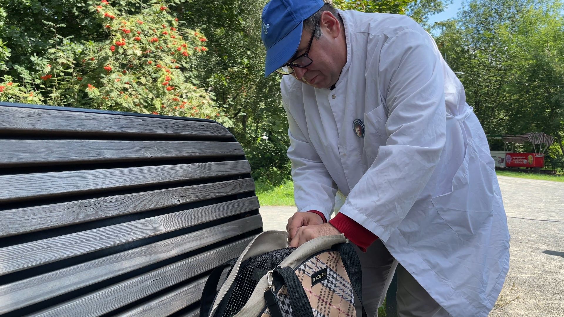 вакцинация животных от бешенства в Балашихе, Балашиха,