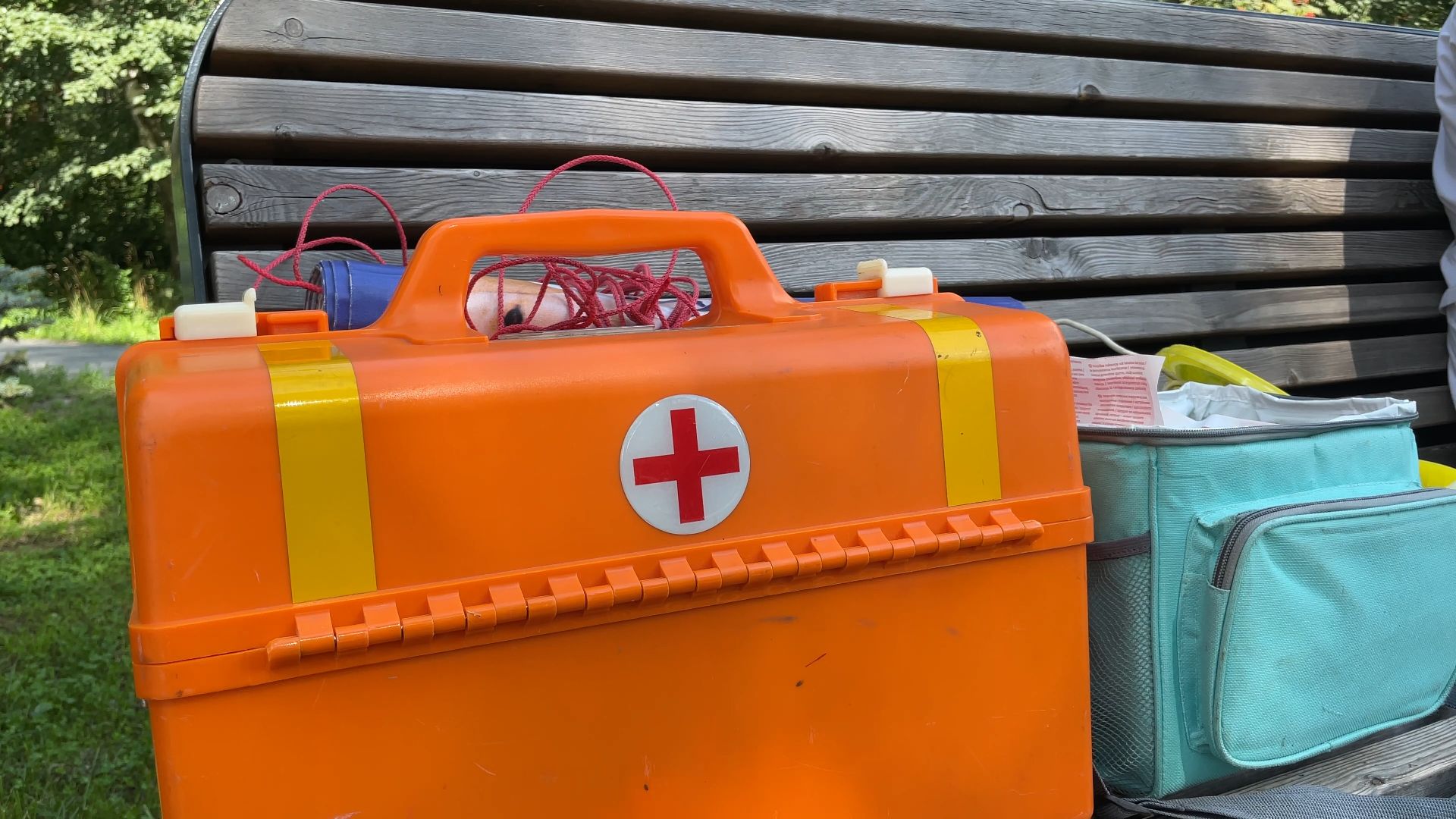 вакцинация животных от бешенства в Балашихе, Балашиха,