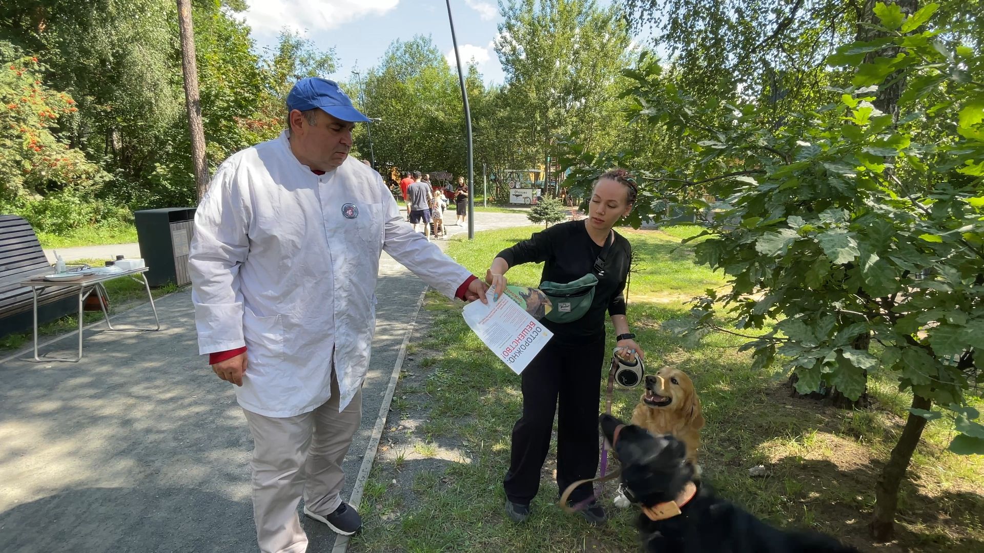вакцинация животных от бешенства в Балашихе, Балашиха,