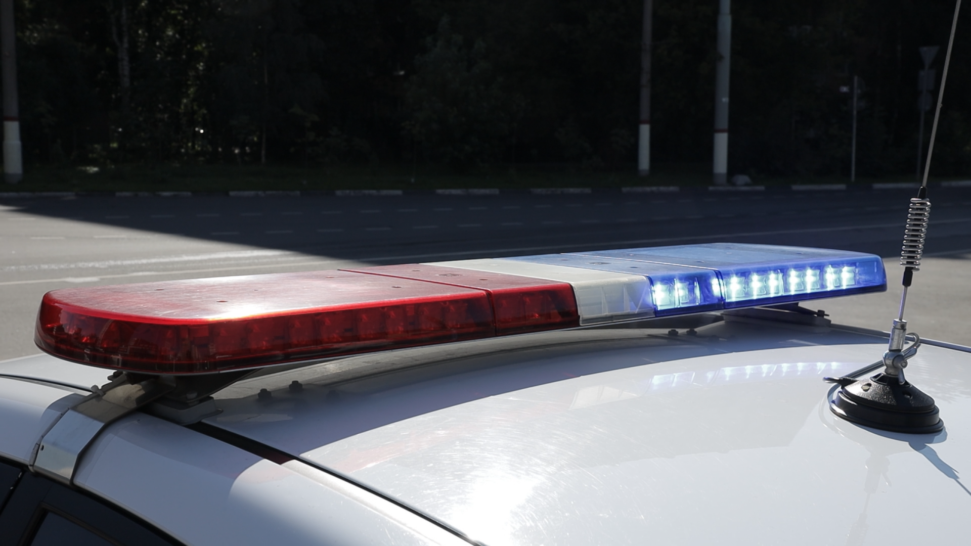 гаи, рейд, трезвый, водитель,