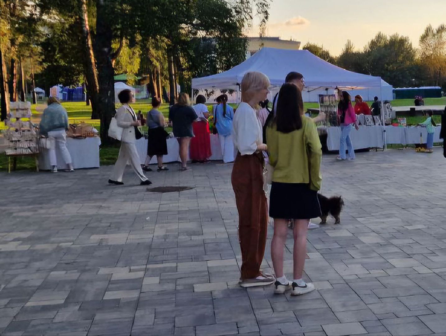 дубна, цой, музыка,