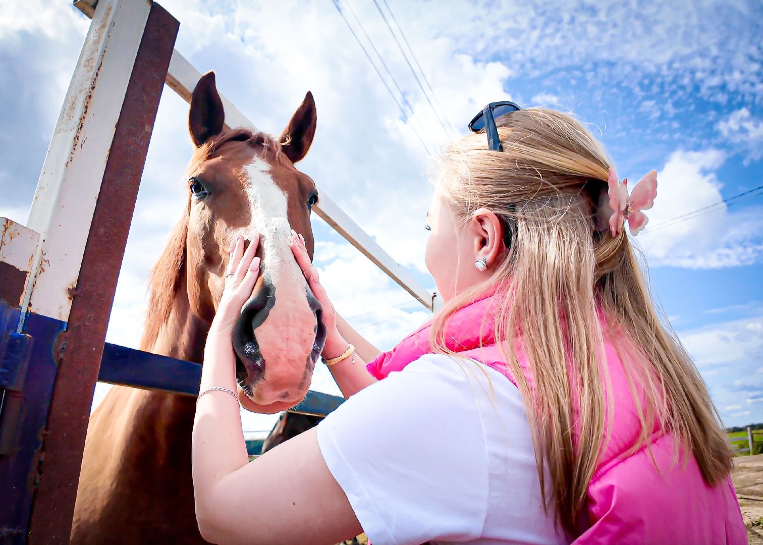 клин, общество, приюты, волонтеры,  благотворительность, помощь животным,