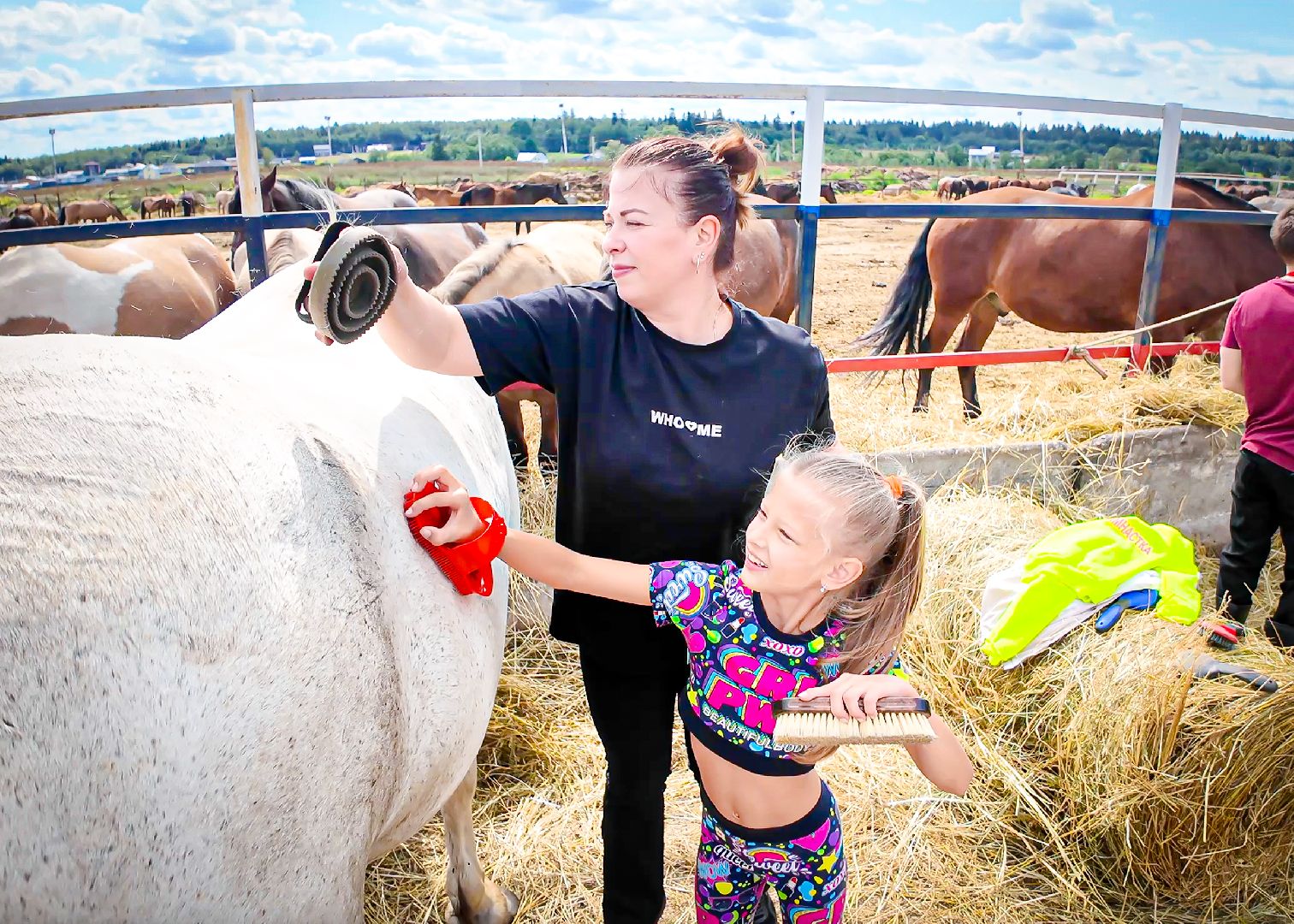 клин, общество, приюты, волонтеры,  благотворительность, помощь животным,