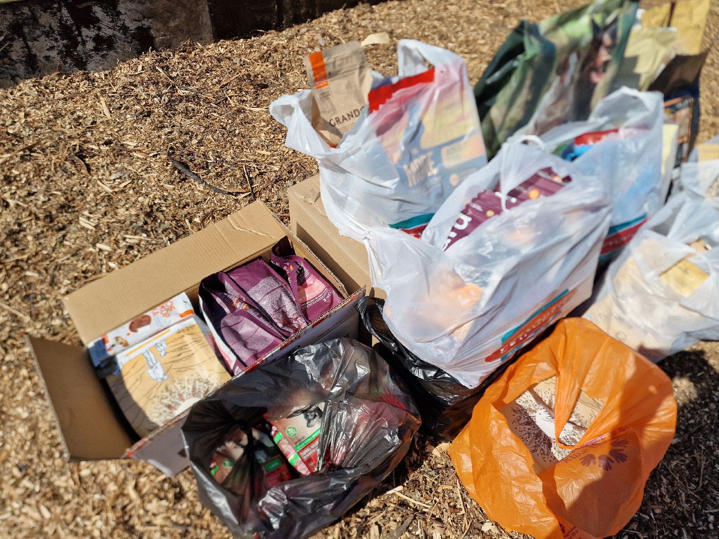 балашиха, конюшня пелагея в балашихе,фонд защита балашиха,