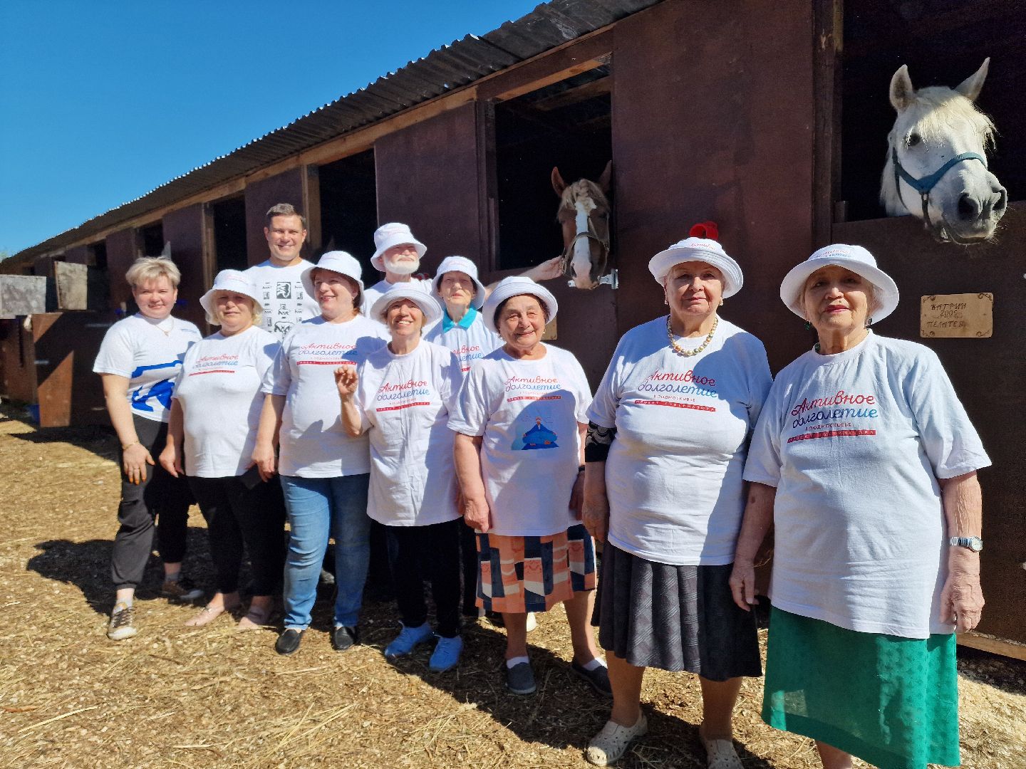 балашиха, конюшня пелагея в балашихе,фонд защита балашиха,