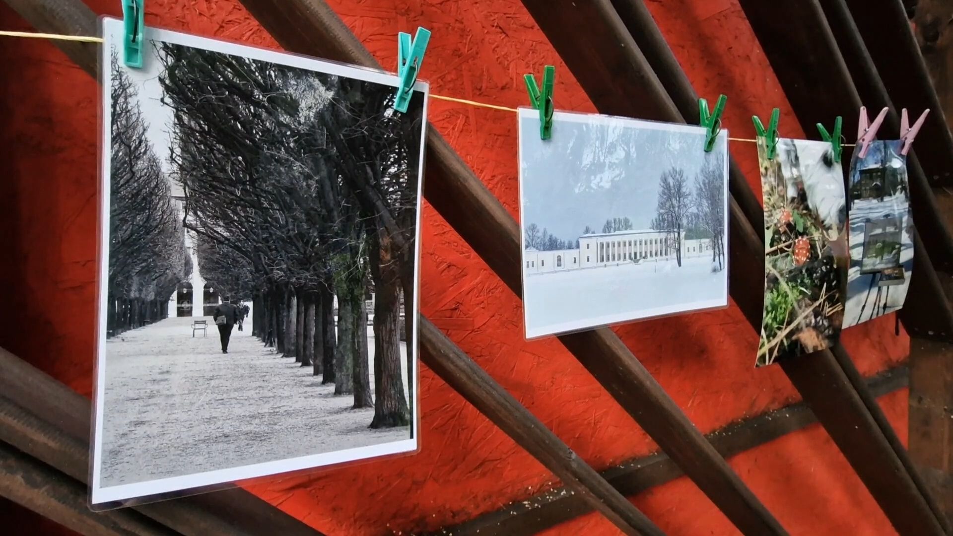 фотосушка балашиха, парк пехорка балашиха,