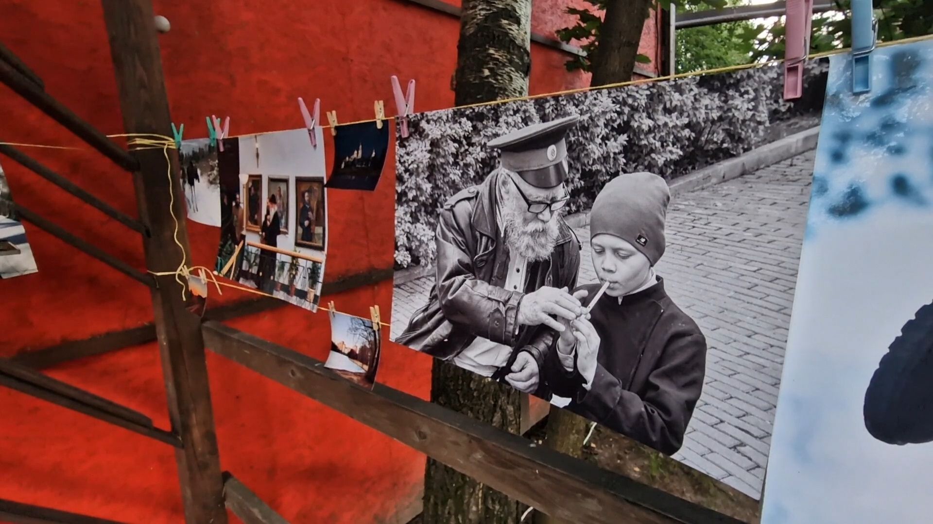 фотосушка балашиха, парк пехорка балашиха,