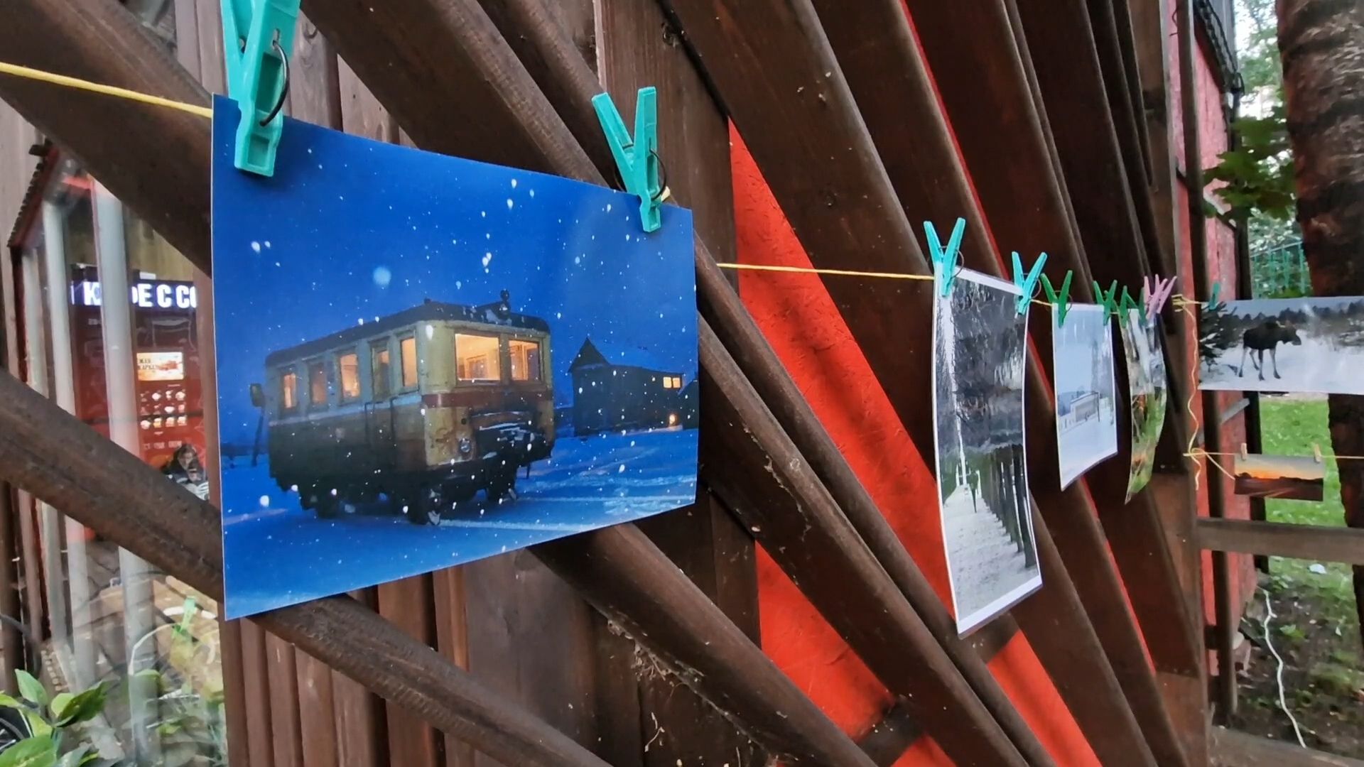 фотосушка балашиха, парк пехорка балашиха,