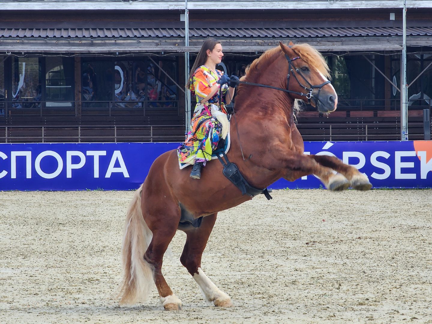 конный фестиваль, иваново поле, конный спорт, село ивановское, городской округ черноголовка,