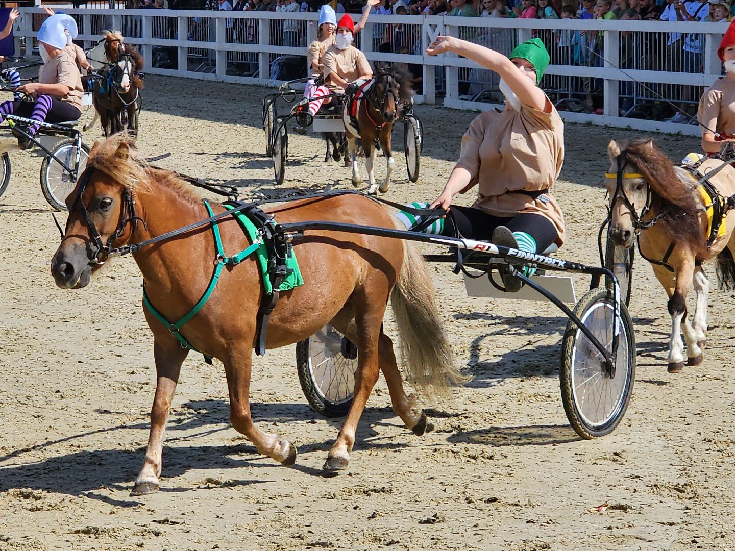 конный фестиваль, иваново поле, конный спорт, село ивановское, городской округ черноголовка,