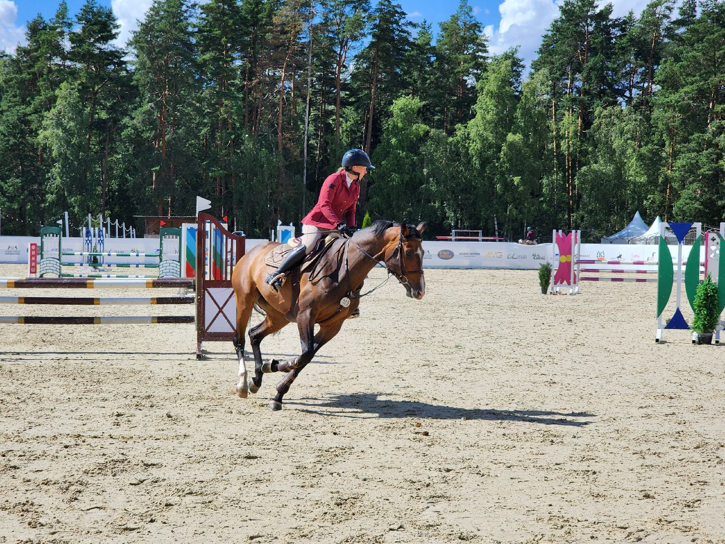 конный фестиваль, иваново поле, конный спорт, село ивановское, городской округ черноголовка,