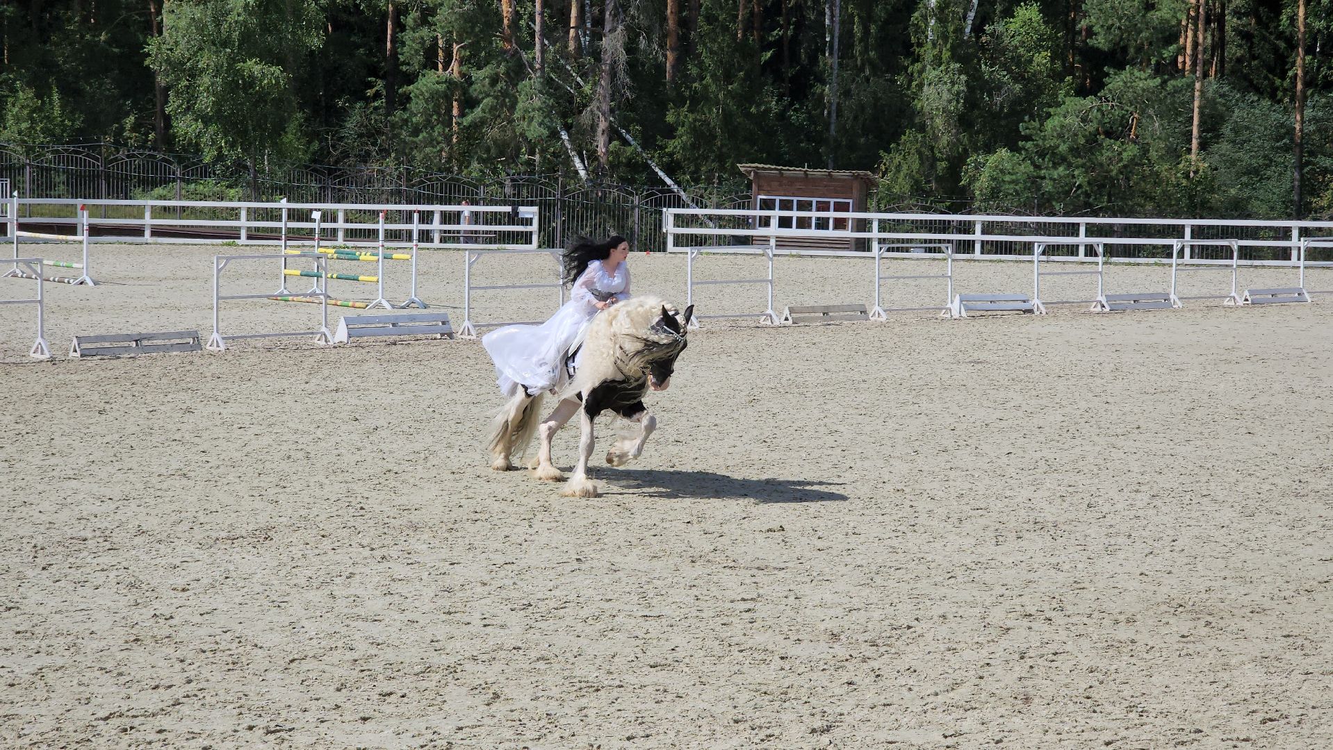 конный фестиваль, конный театр, иваново поле, село ивановское, богородский городской округ,