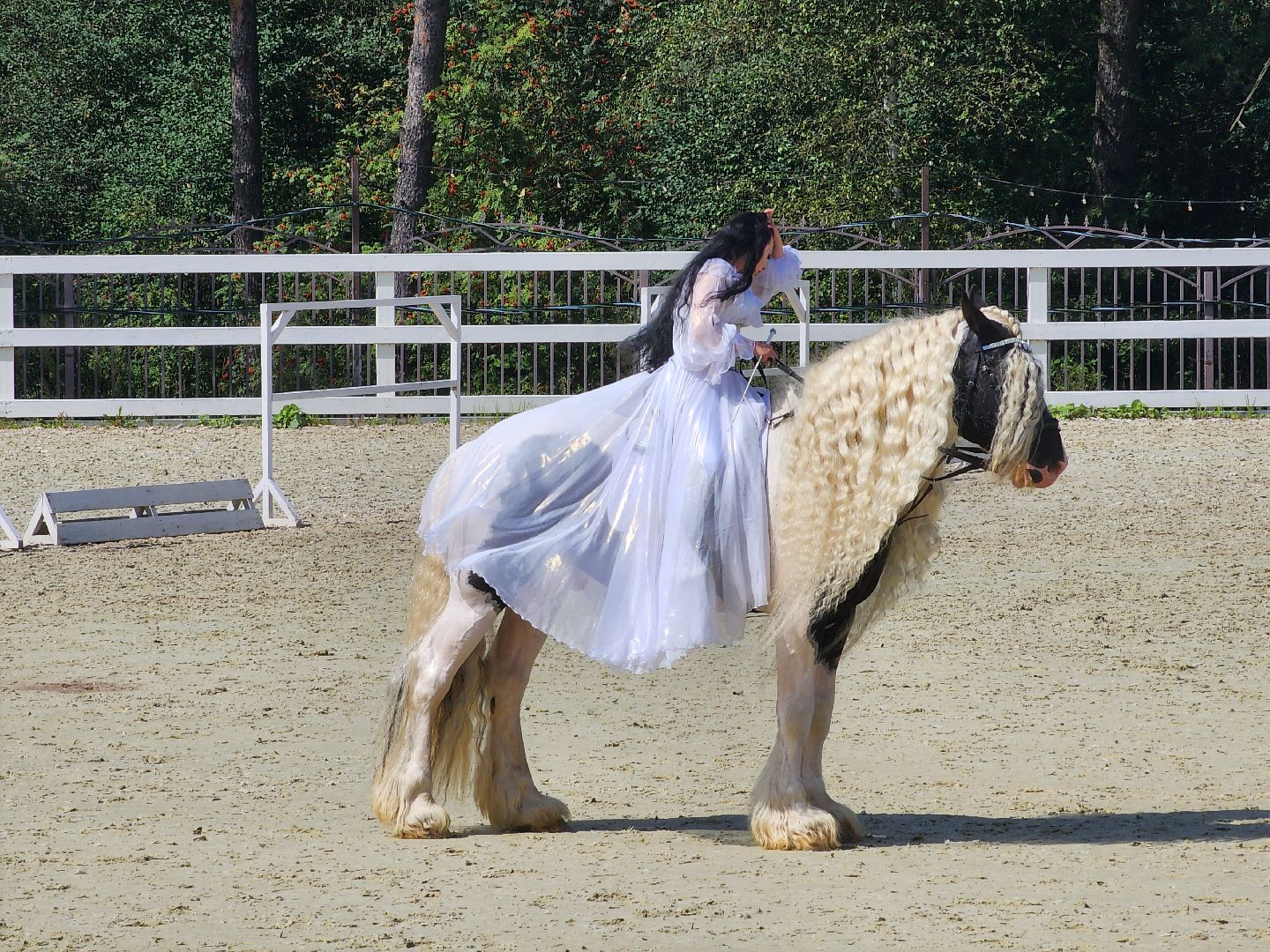 конный фестиваль, конный театр, иваново поле, село ивановское, богородский городской округ,