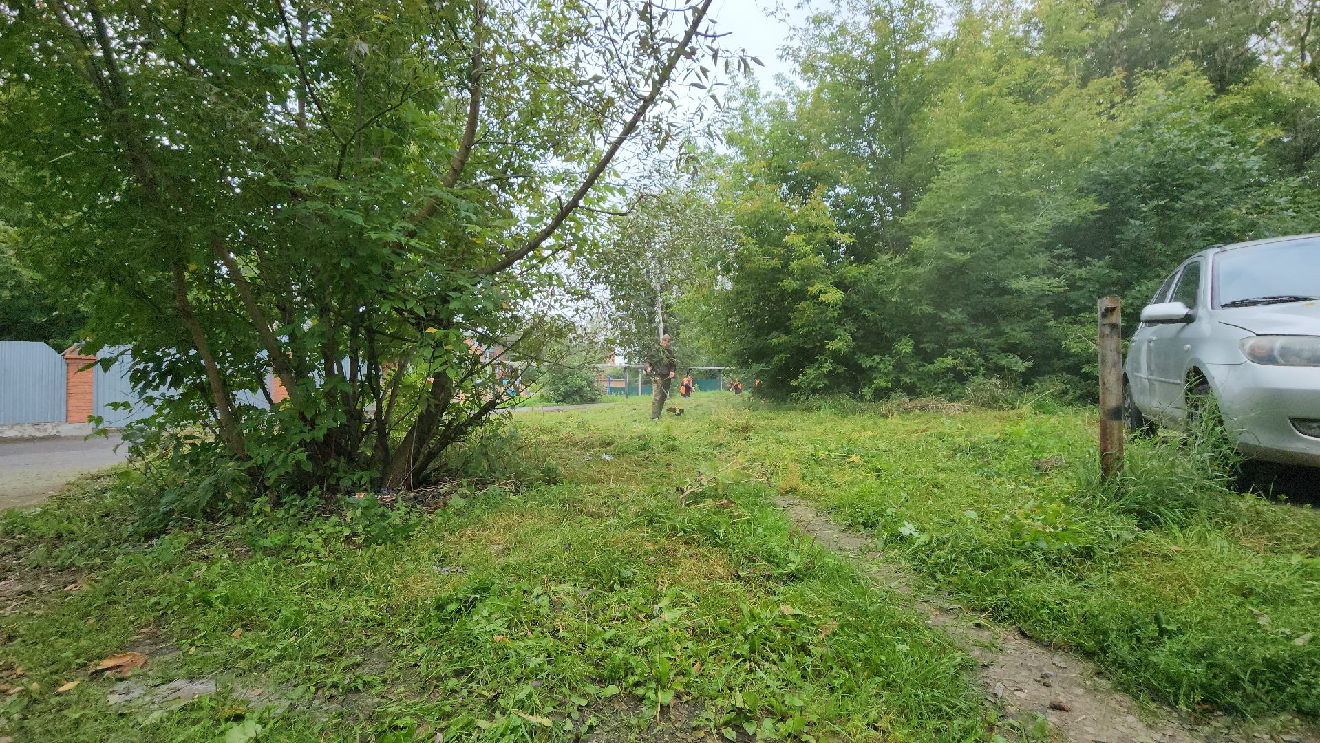 серпухов, улица центральная, комбинат благоустройства, покос травы в серпухове,