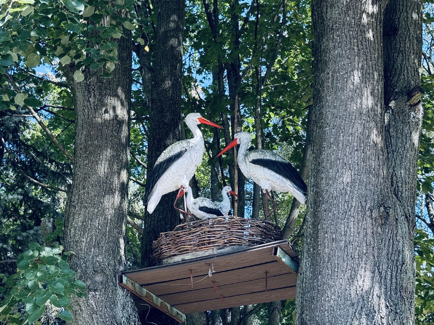 раменское, туризм, гжель, гжельский зоопарк, контактный зоопарк,