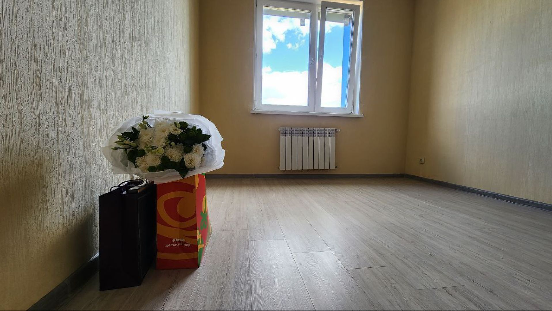 Дмитров, Микрорайон ДЗФС, Переселенцы из аварийного жилья, Минстрой,Минжилполитики,