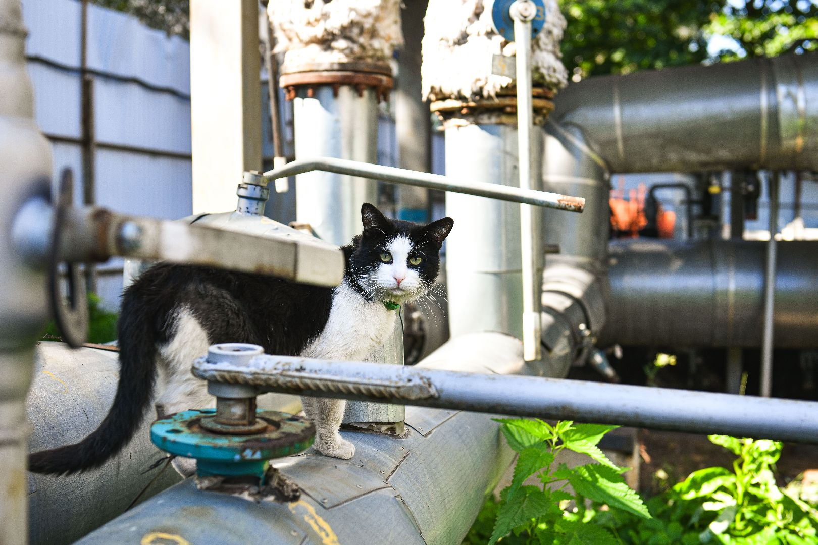 испытания, работы, проверка, гидравлика,