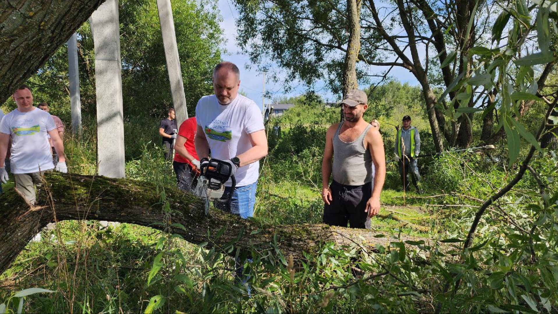 Дмитров, Внуковский пруд, Акция Чистый берег, Минэкологии, Минблаго,