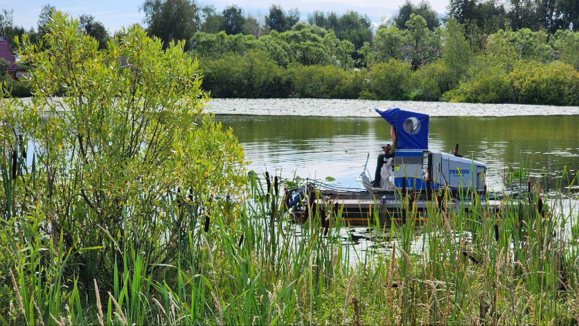 Дмитров, Внуковский пруд, Акция Чистый берег, Минэкологии, Минблаго,