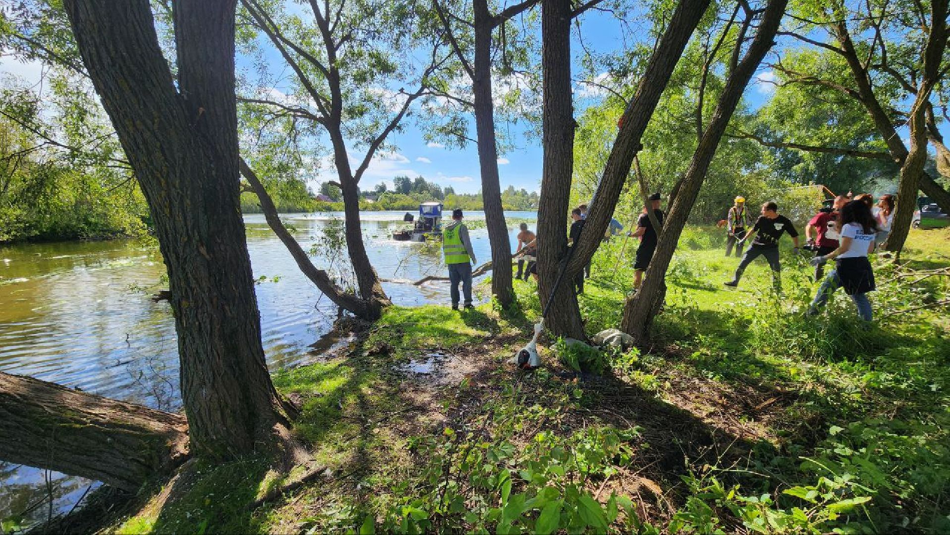 Дмитров, Внуковский пруд, Акция Чистый берег, Минэкологии, Минблаго,