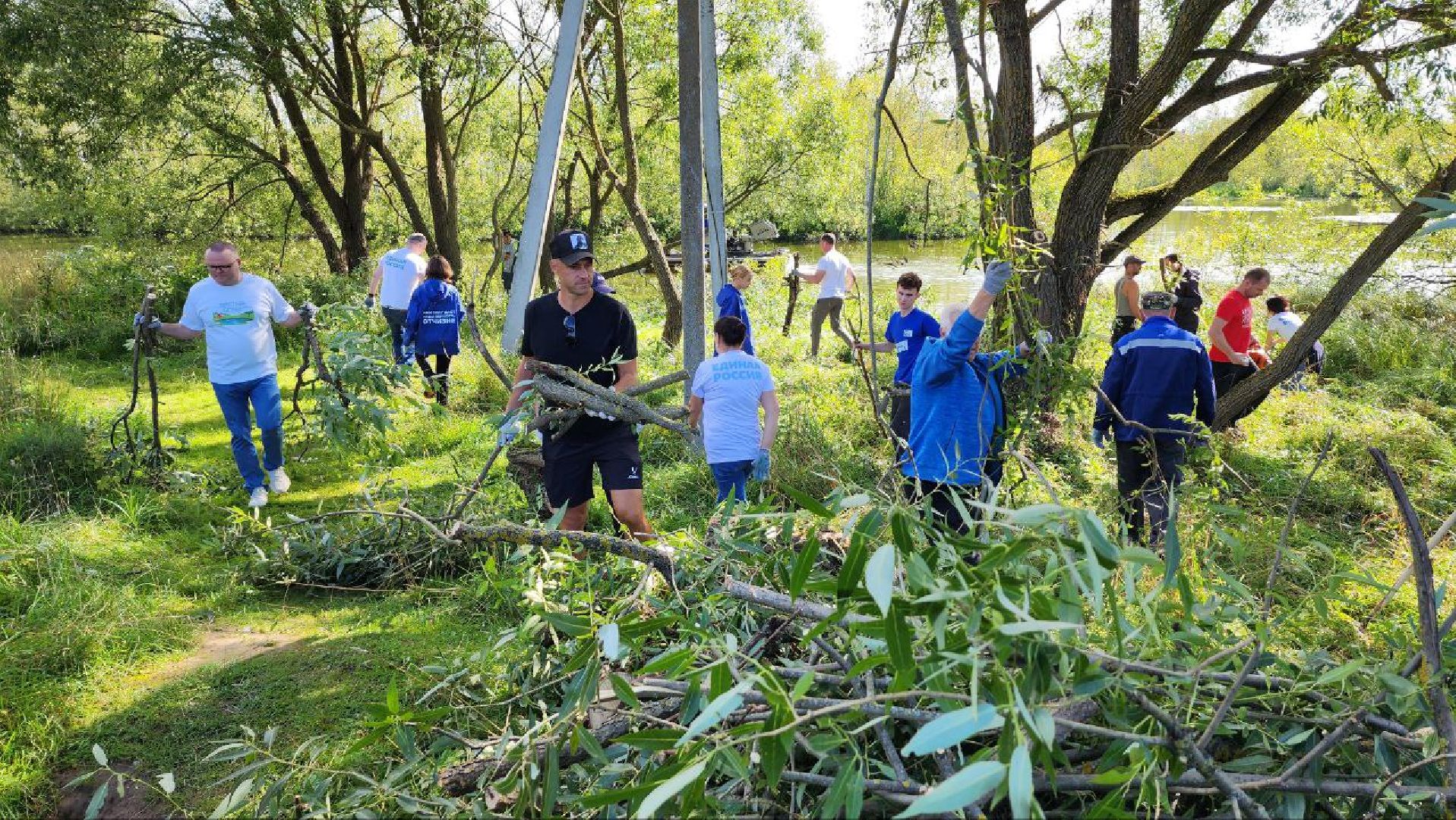 Дмитров, Внуковский пруд, Акция Чистый берег, Минэкологии, Минблаго,