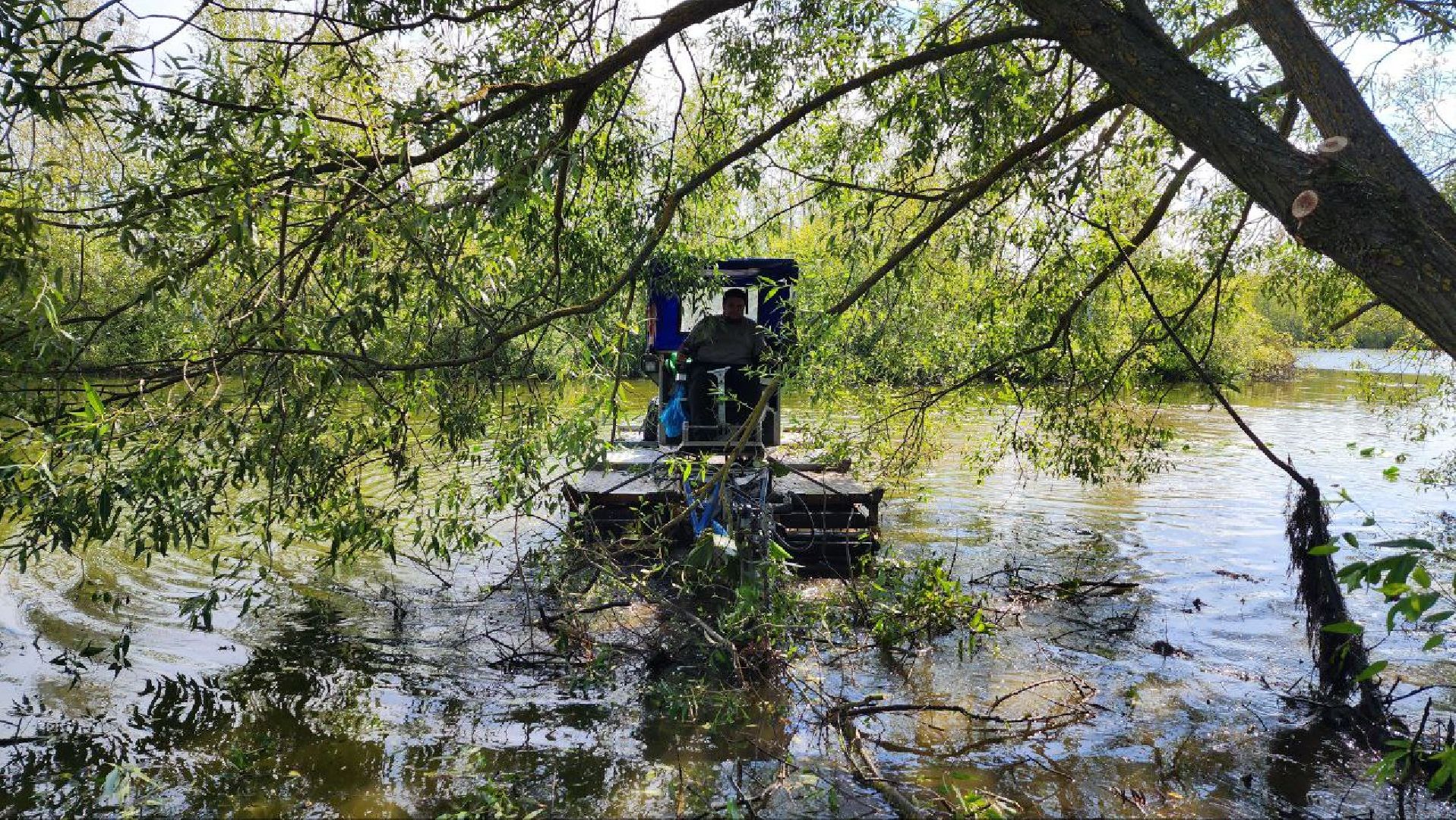 Дмитров, Внуковский пруд, Акция Чистый берег, Минэкологии, Минблаго,