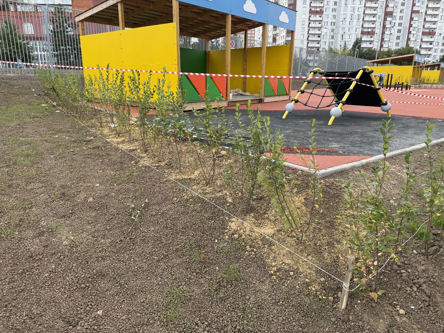 Люберцы , дзержинский, школа, Детский сад, 1 сентября,