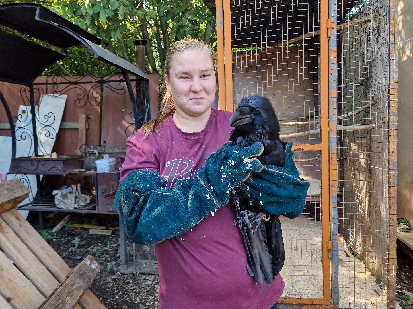 конно-спортивный клуб пелагея в балашихе, балашиха,