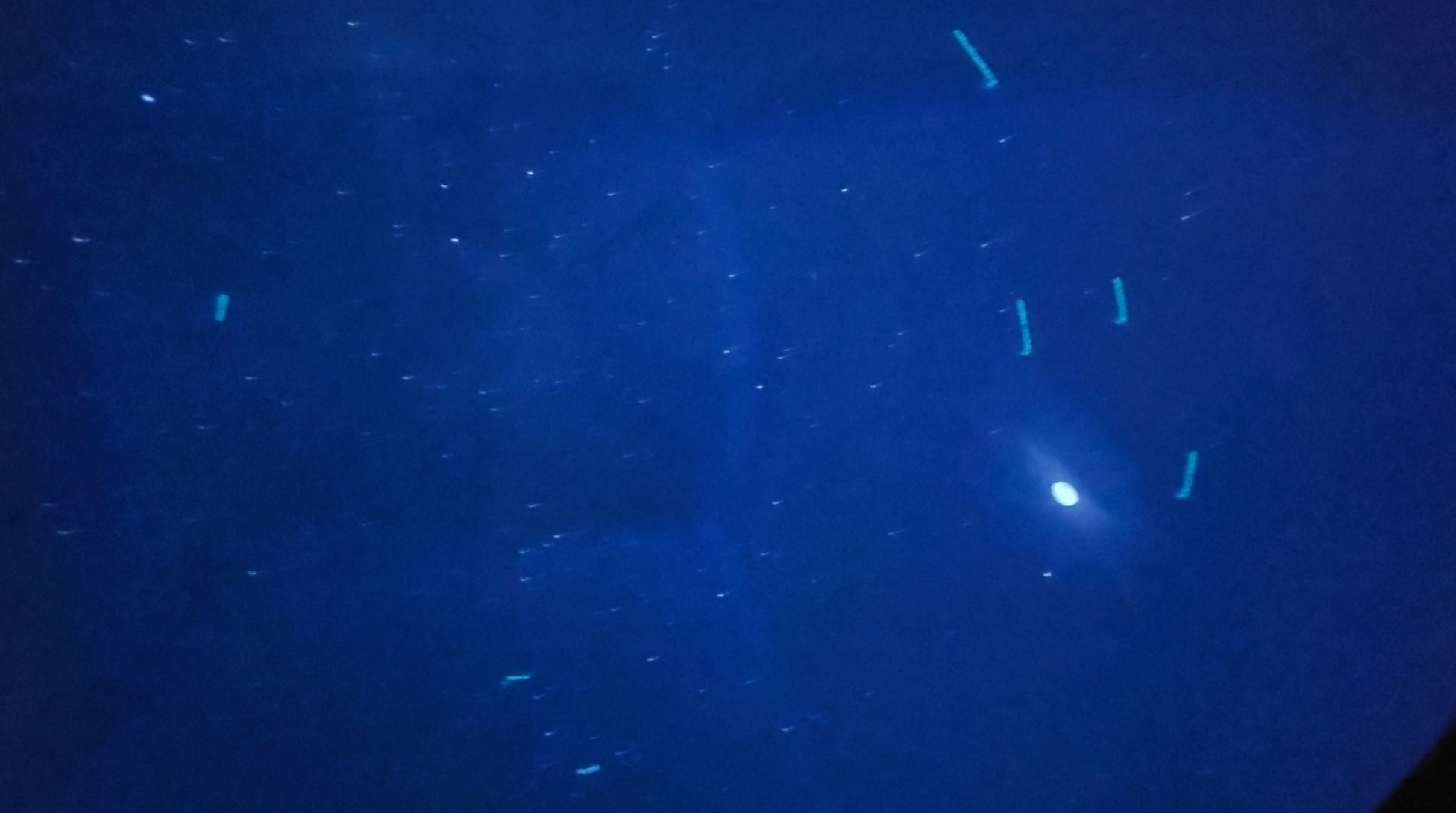 долгопрудный, технопарк, планетарий, небесные явления, персеиды, лунное затмение,