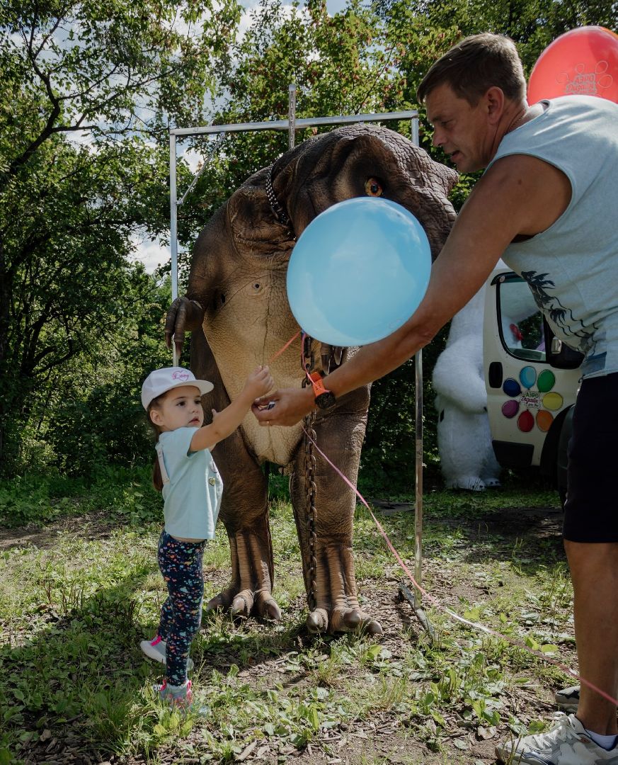 вертикалки, нежный бизнес, праздник, социальное предпринимательство, забег, конкурс пирога,бизнес в подмосковье,бизнес-сообщество,  благотворительный фестиваль,