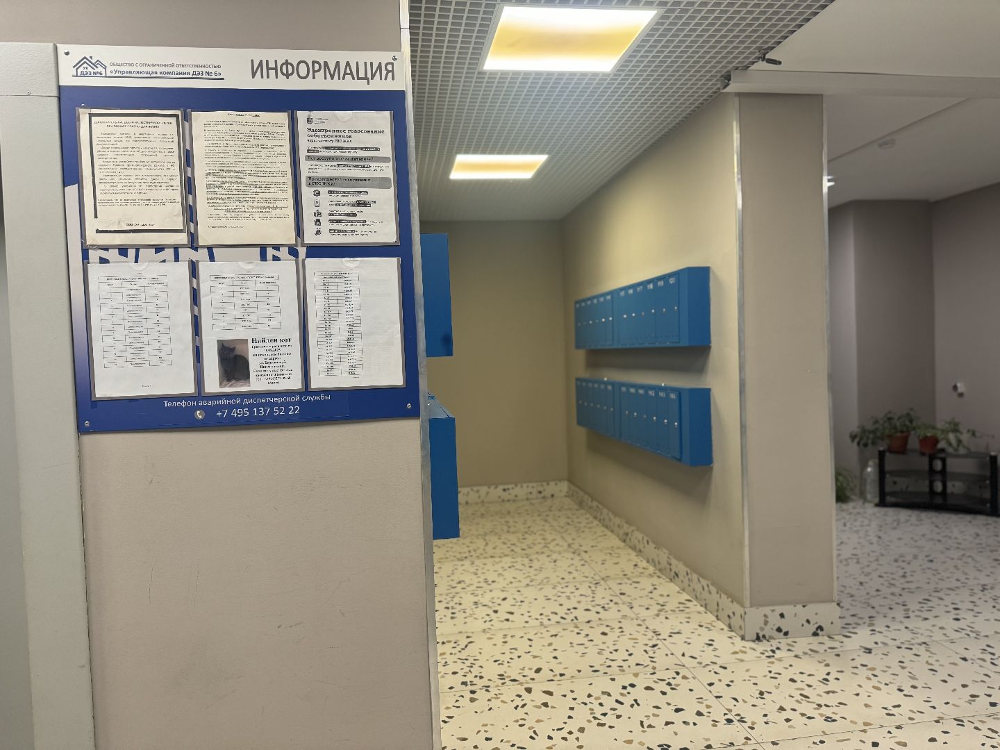 ремонт подъездов, ленинский городской округ, губернаторская программа, мой подъезд,