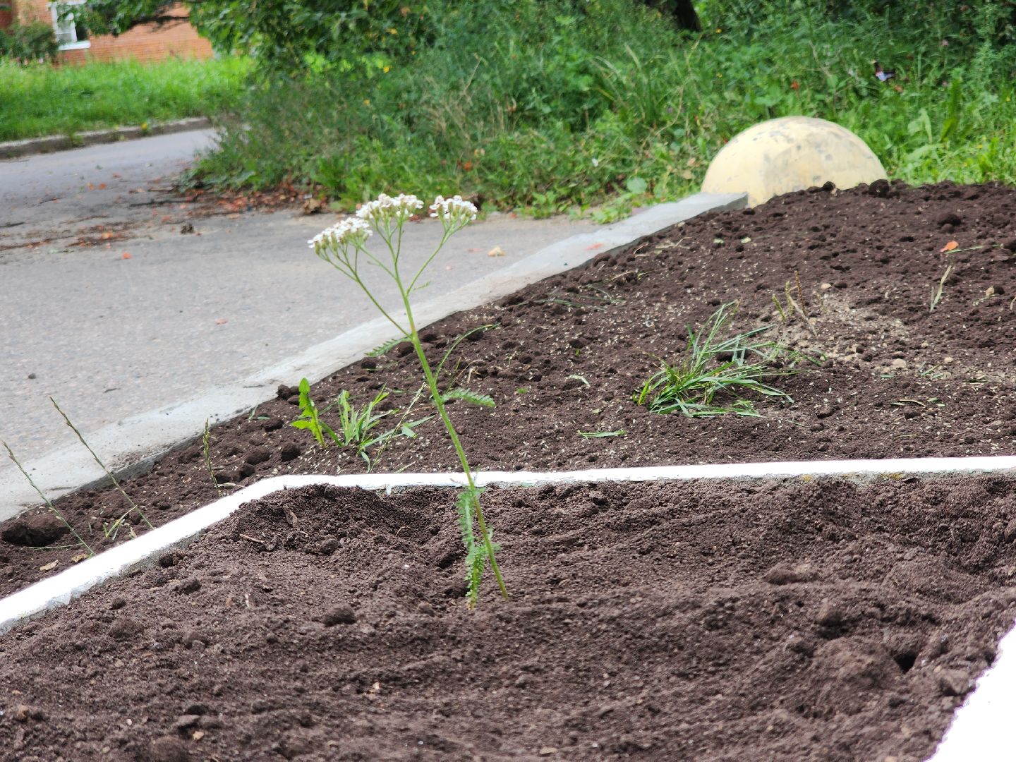Черноголовка, Благоустройство, Безопасность на дорогах,