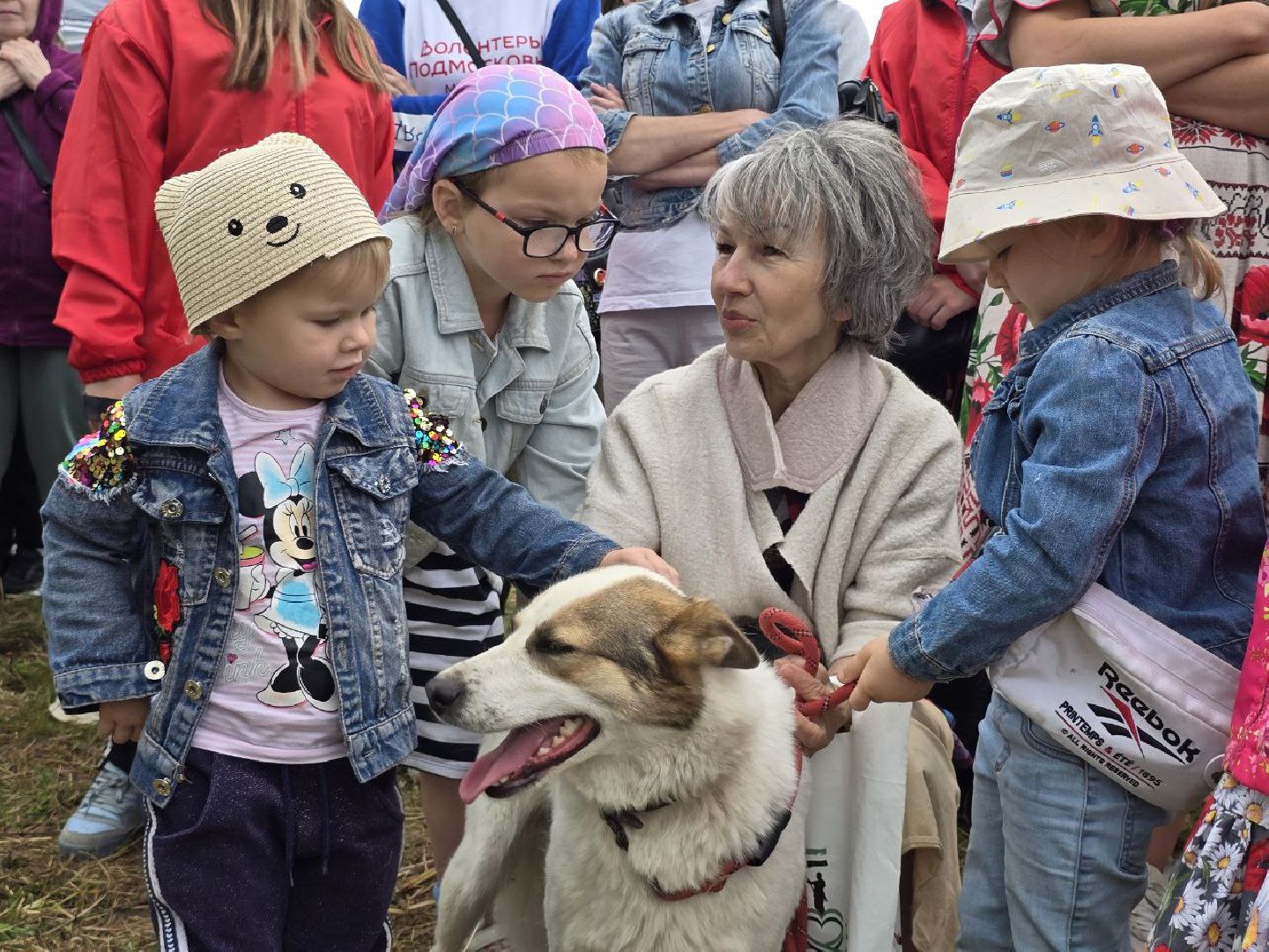 можайск, можайский муниципальный округ, подмосковье, приют бездомных животных, день рождения,  15 лет, юбилей, собаки,