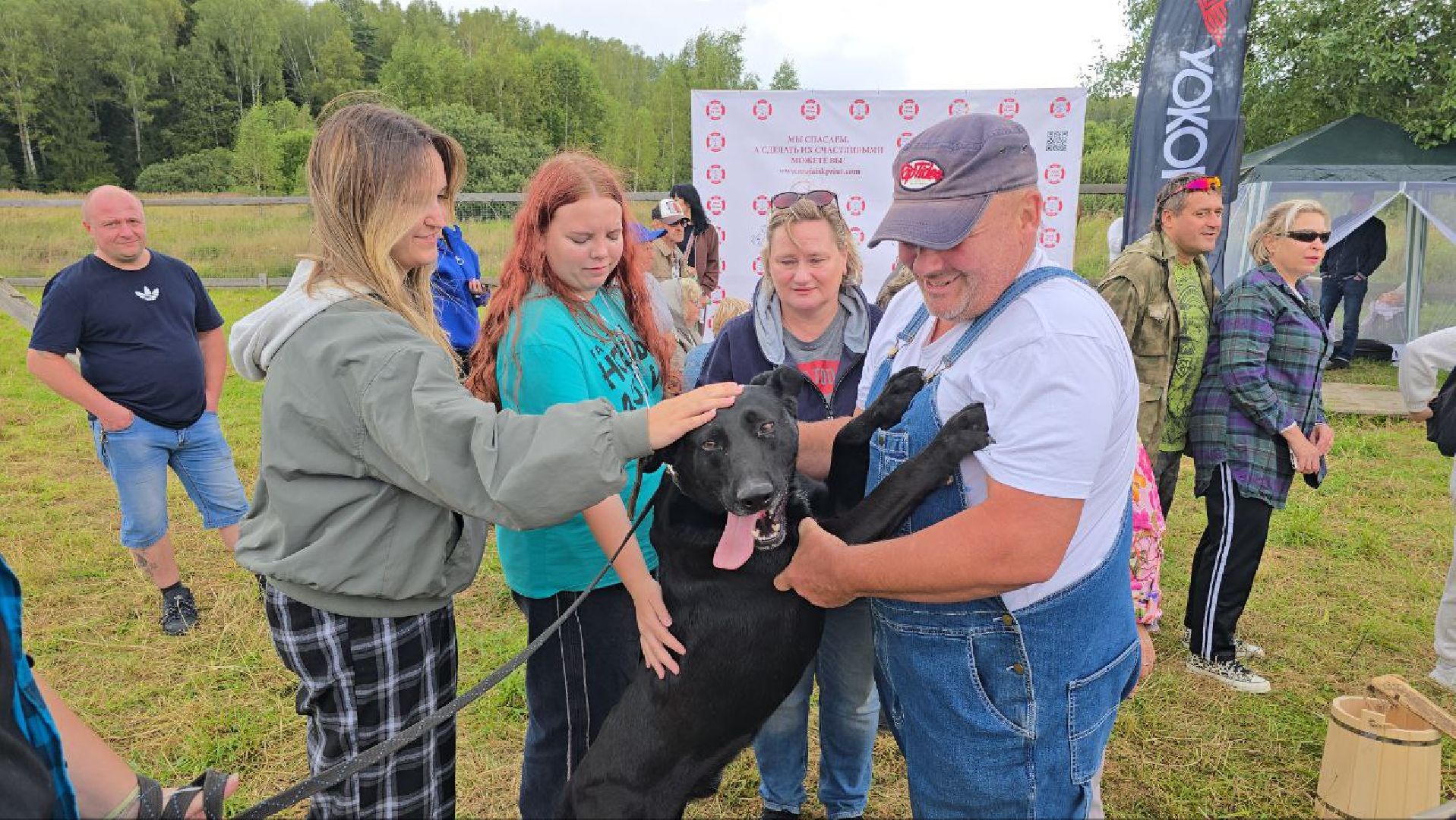 можайск, можайский муниципальный округ, подмосковье, приют бездомных животных, день рождения,  15 лет, юбилей, собаки,