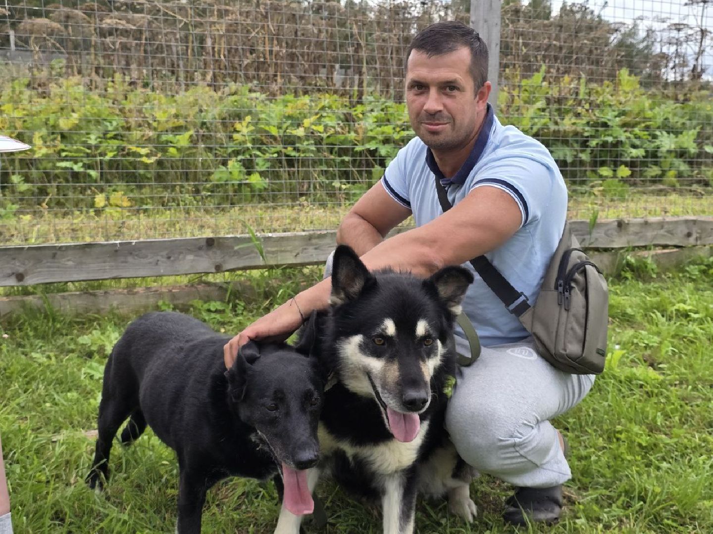 можайск, можайский муниципальный округ, подмосковье, приют бездомных животных, день рождения,  15 лет, юбилей, собаки,